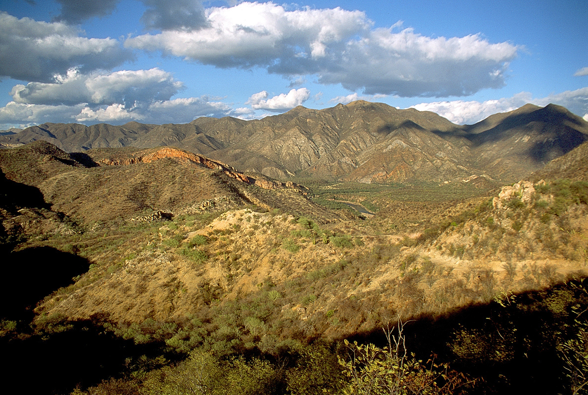 Photo 4 from NORTHERN JAGUAR PROJECT